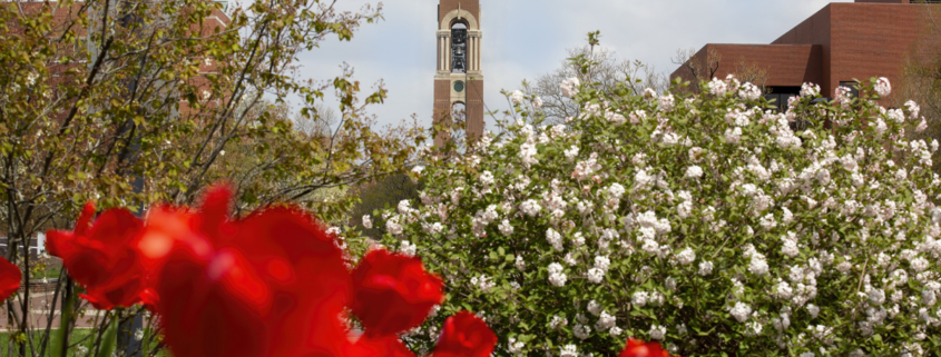 Shafer Tower with red and white flowers