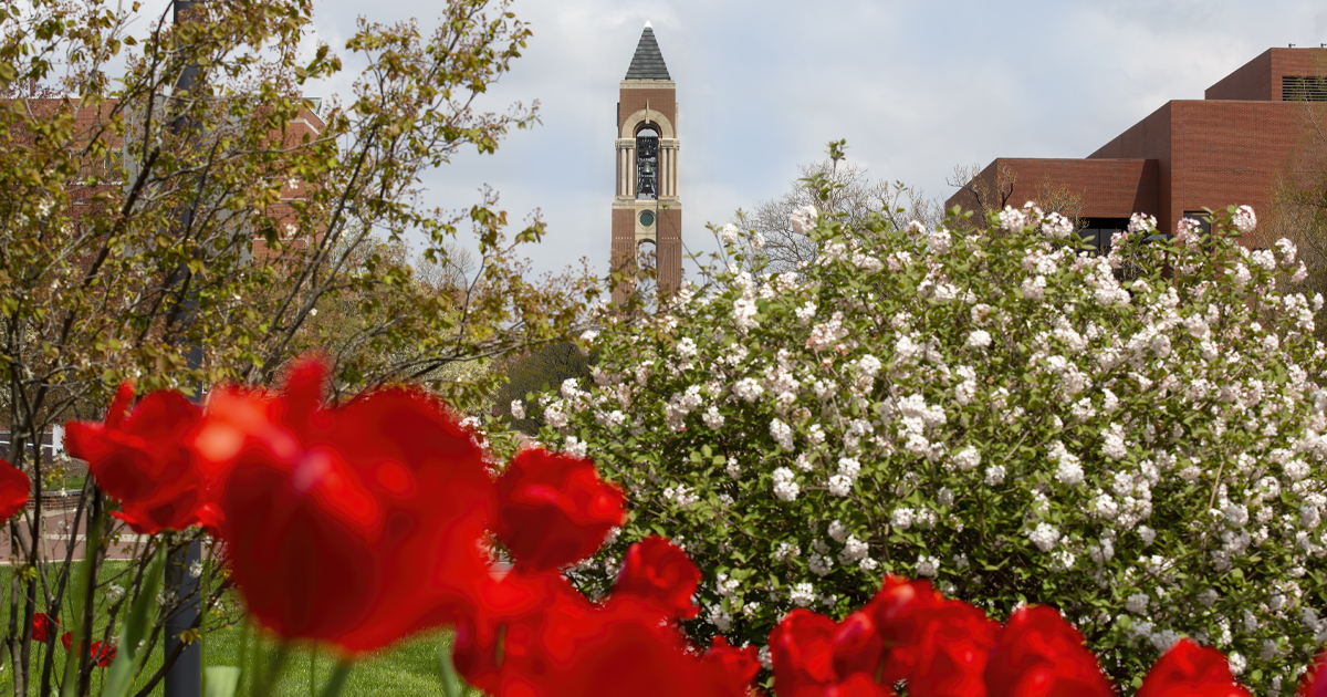 Shafer Tower with red and white flowers