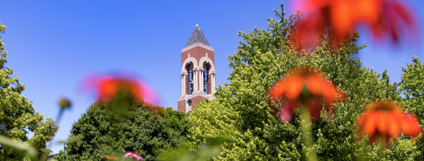 Bell Tower and blue sky with orange flowers in the foreground.