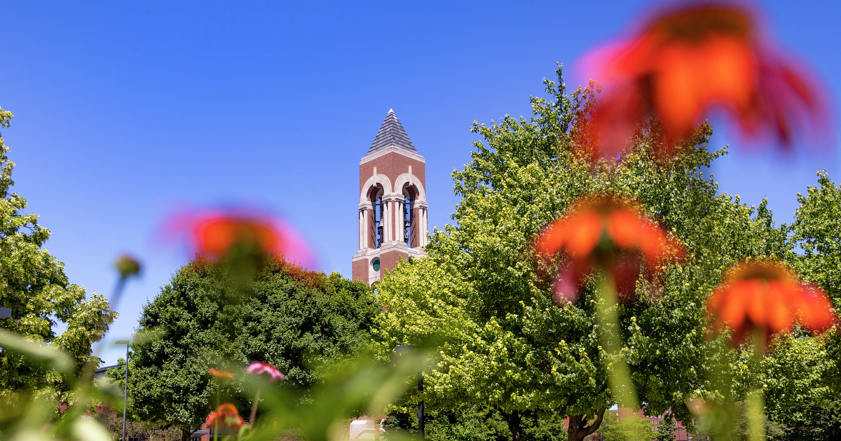 Bell Tower and blue sky with orange flowers in the foreground.