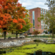 Landscape view of a tree with orange leaves and a little pond with green algae. A bridge stands above the pond with a building in the background.