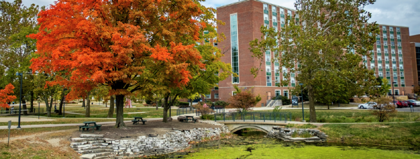 Landscape view of a tree with orange leaves and a little pond with green algae. A bridge stands above the pond with a building in the background.