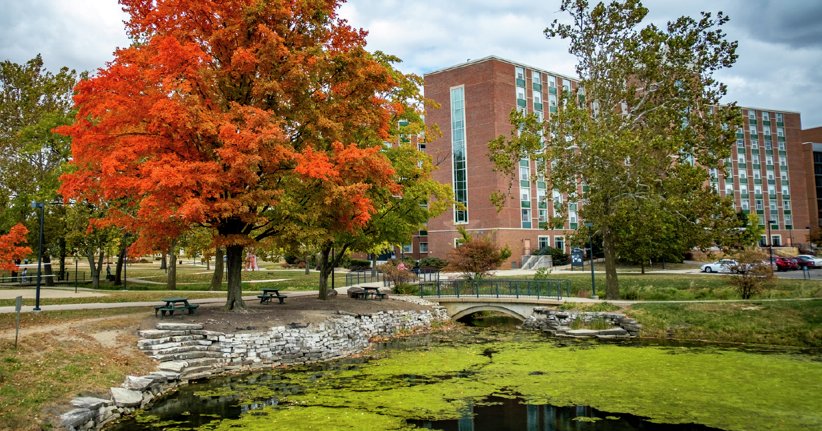 Landscape view of a tree with orange leaves and a little pond with green algae. A bridge stands above the pond with a building in the background.