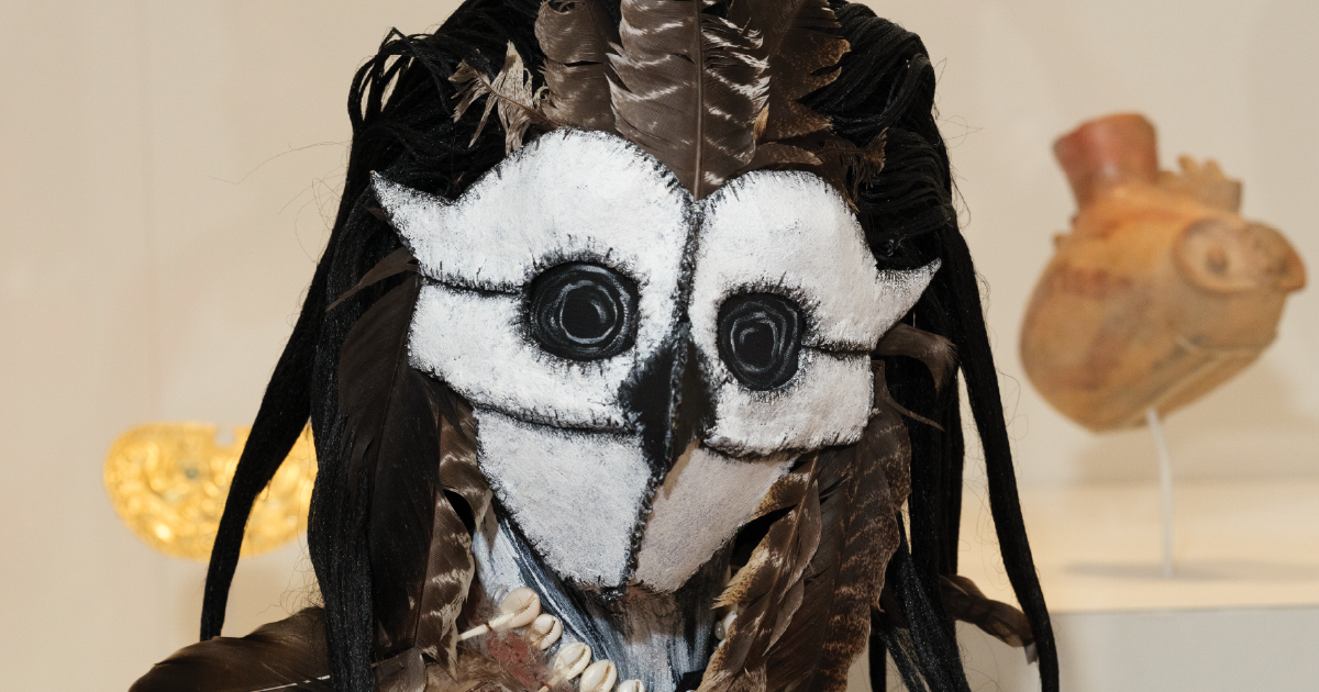Elaborate owl-inspired costume made with feathers, fabric, and a white-and-black face covering, displayed in a museum gallery.